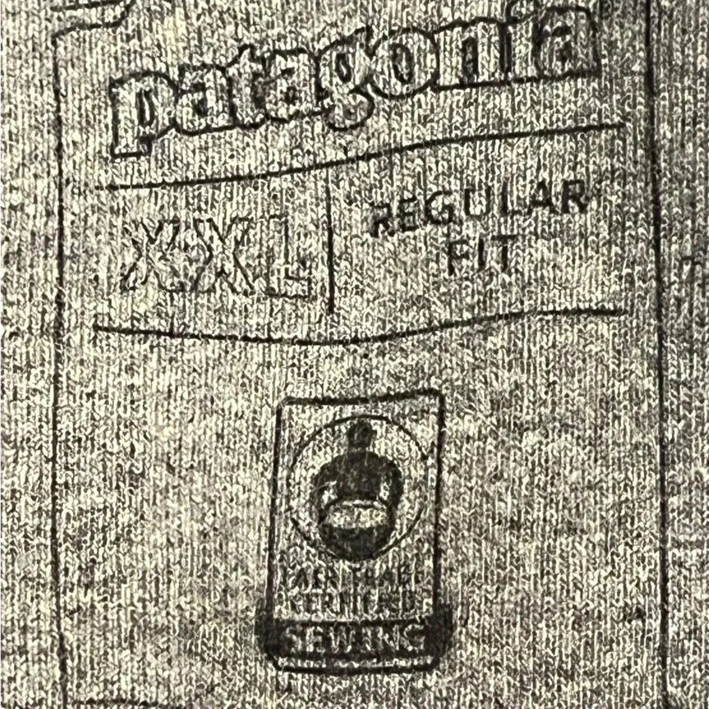 PATAGONIA Hoodie Mens XXL Fitz Roy Horizons Uprisal Gravel Heather Gray color